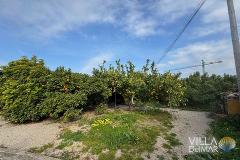 Helårsgrund i Els Poblets, Alicante, Els Poblets - € 299.000 | Ref: P-603 - foto 8